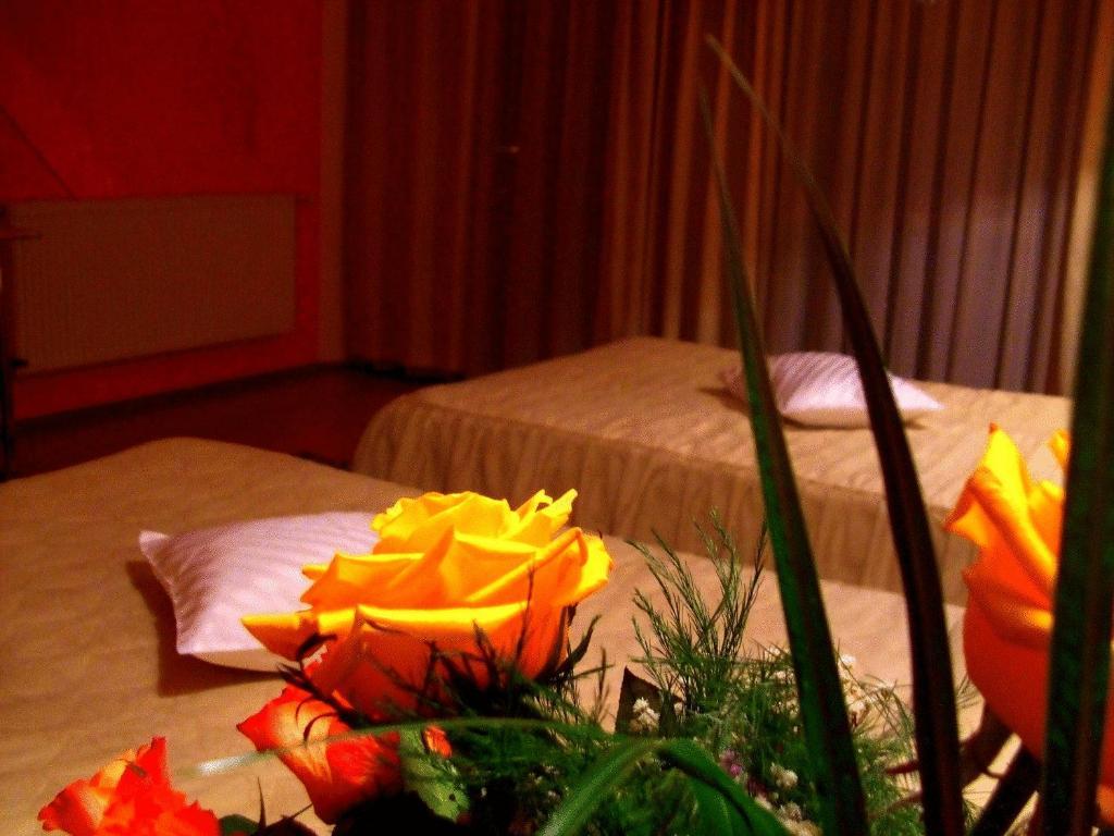 Hotel Ambassador バイア·マーレ エクステリア 写真